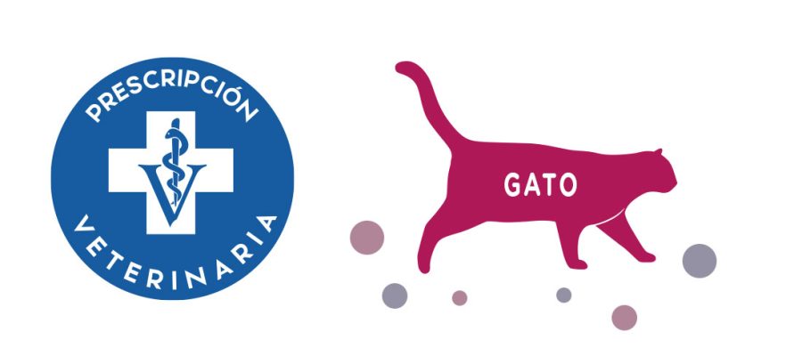 btn-gato-02