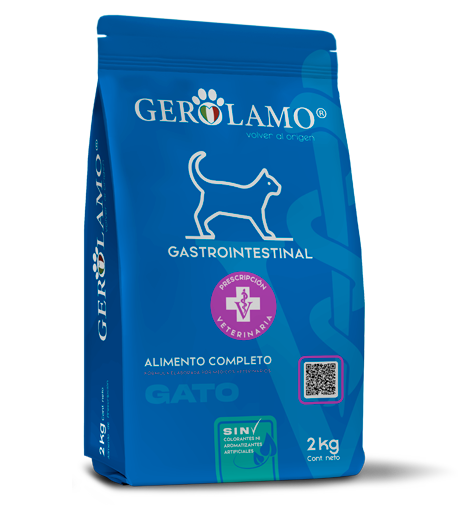 Gerolamo Gato – Gastrointestinal