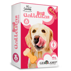 Gerolamo Salvatore Galleta Adulto Carne