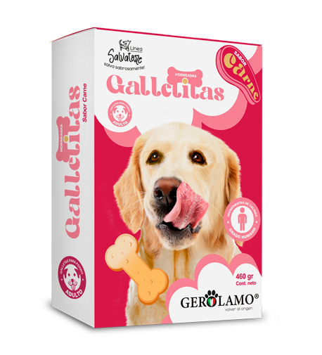 Gerolamo Salvatore Galleta Adulto Carne