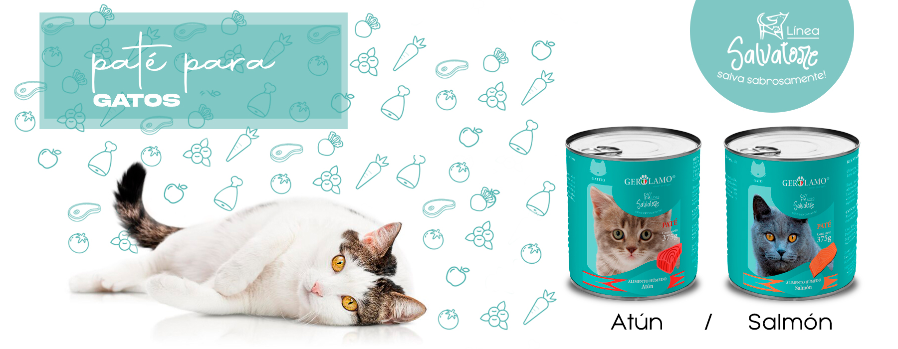 baner-gato-latas-pate-nuevo-02