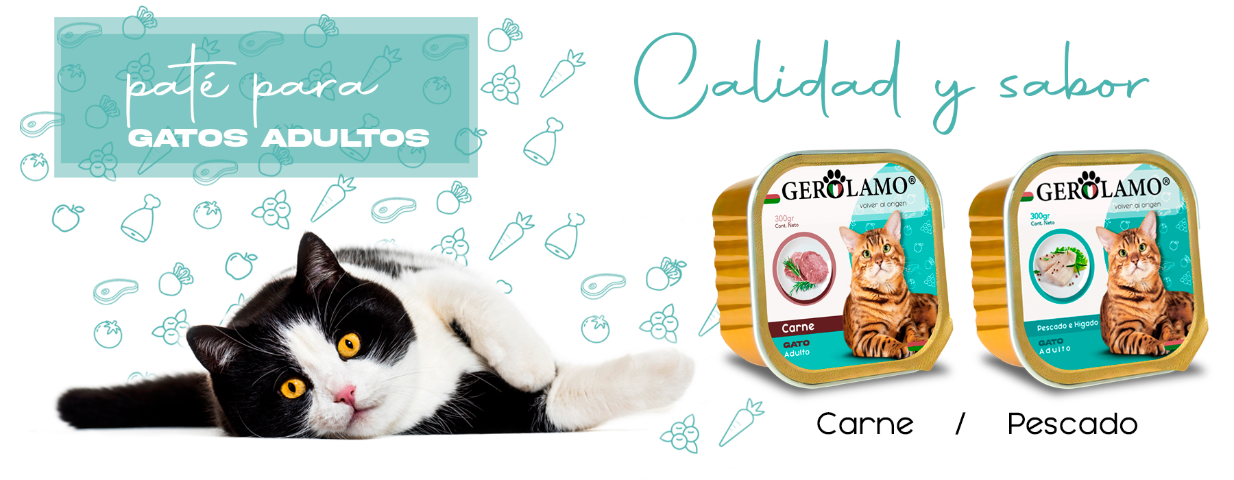 baner-gato-nuevo-02