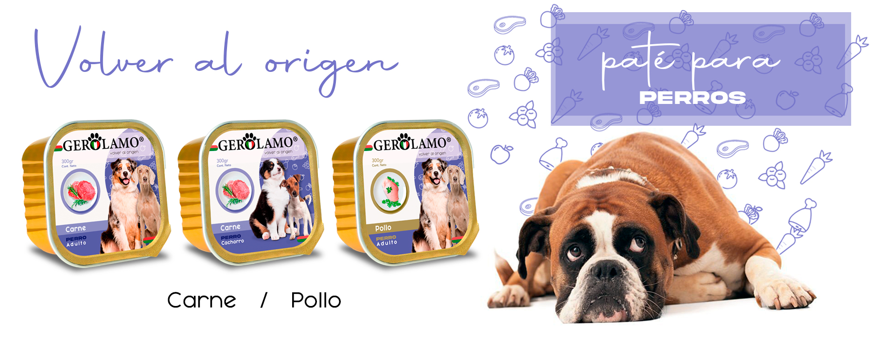 baner-perro-nuevo-03