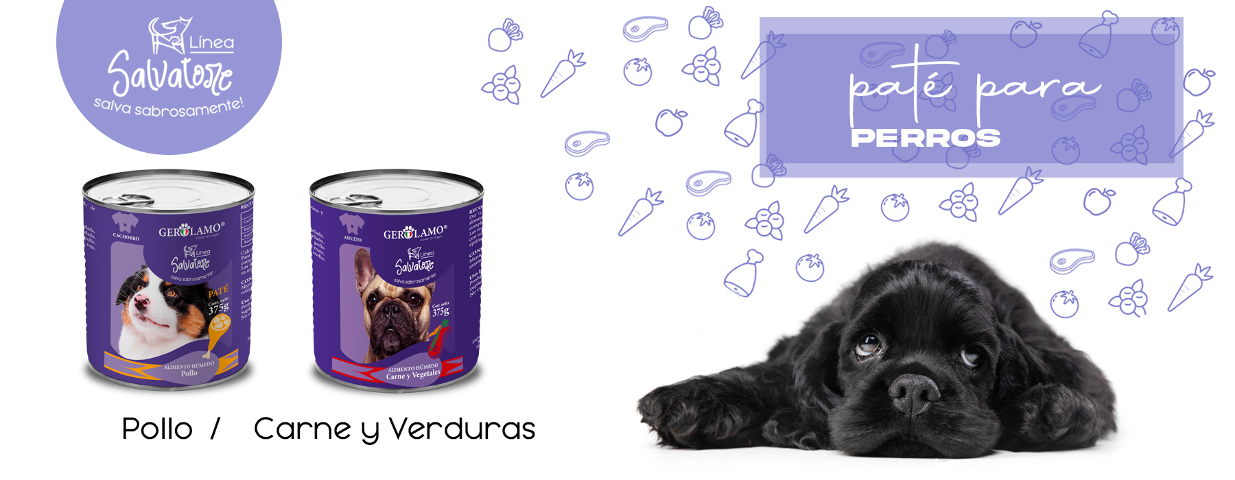 baner-perro-pate-nuevo-01