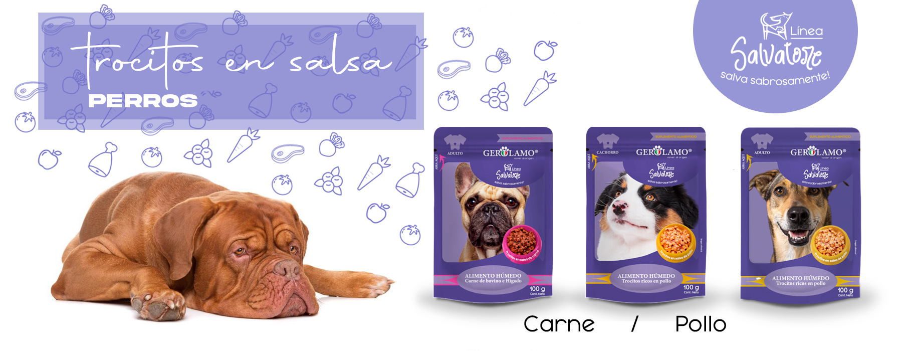baner-perro-trocitos-nuevo-03