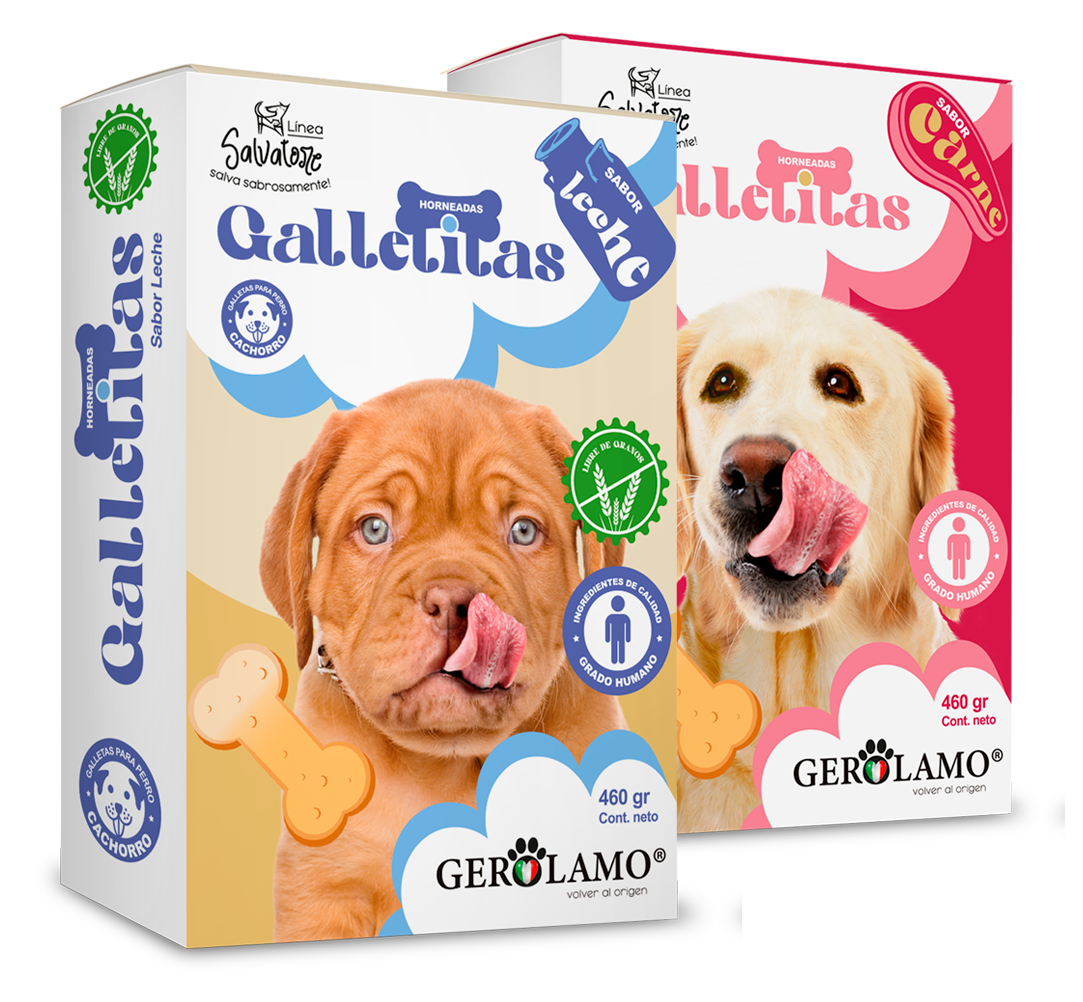 Galletas Salvatore