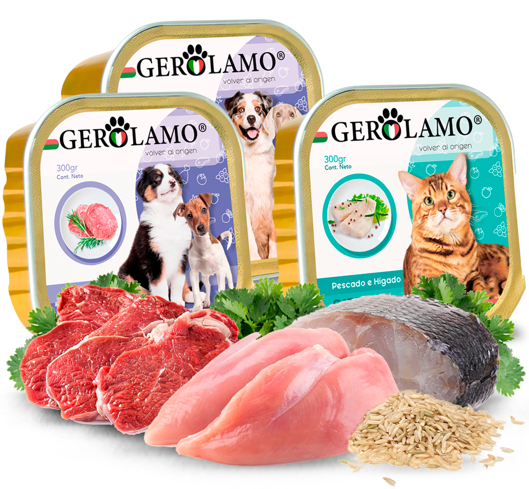 Alimento Húmedo "Paté"