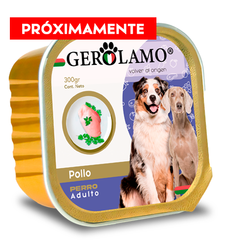 Paté Perro Adulto – Sabor Pollo