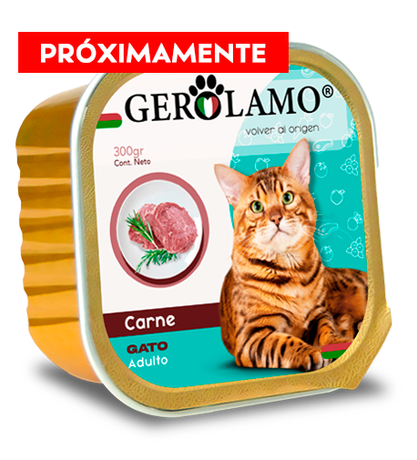 Paté Gato Adulto – Sabor Carne