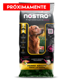 Nostro Perro Adulto Todas Las Razas