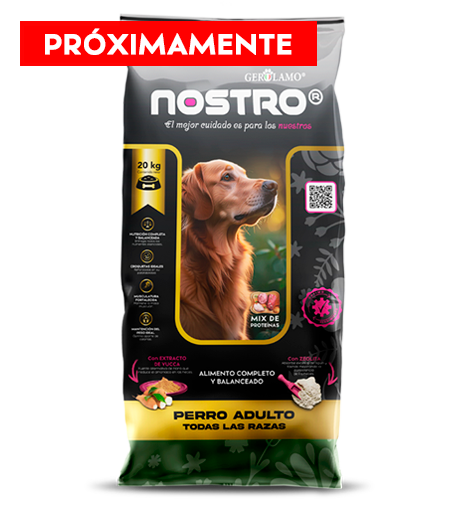 Nostro Perro Adulto Todas Las Razas