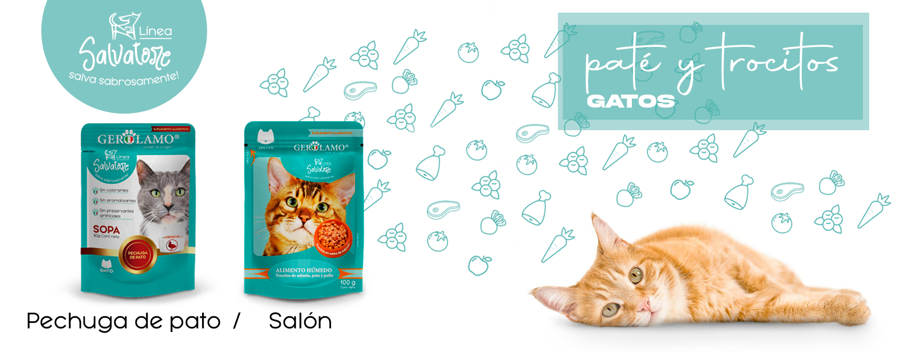 baner-gato-pate-trocitos-nuevo-06