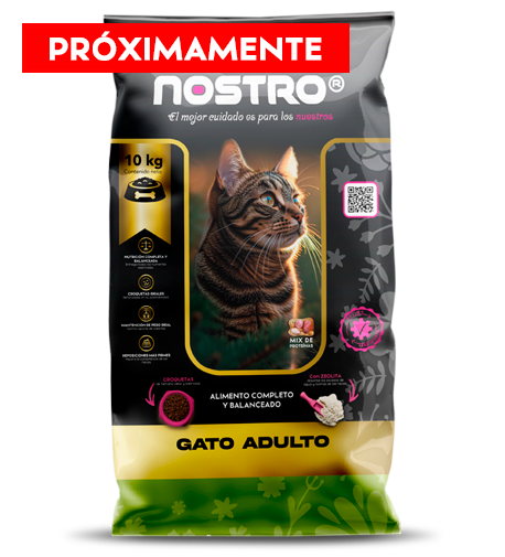 Nostro Gato Adulto